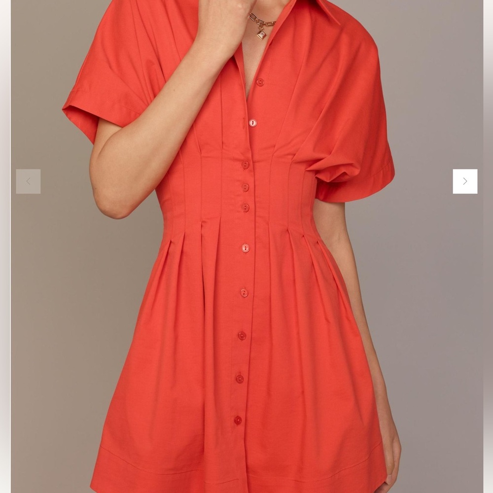 Exquise Tobie Button-Front Pleated Button-Front Mini Shirt Dress Anthropologie